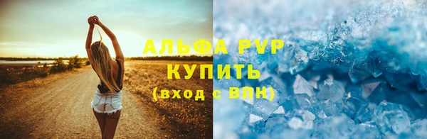 apvp Ельня