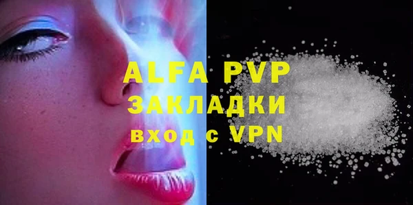 apvp Ельня