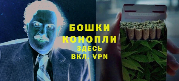 apvp Ельня