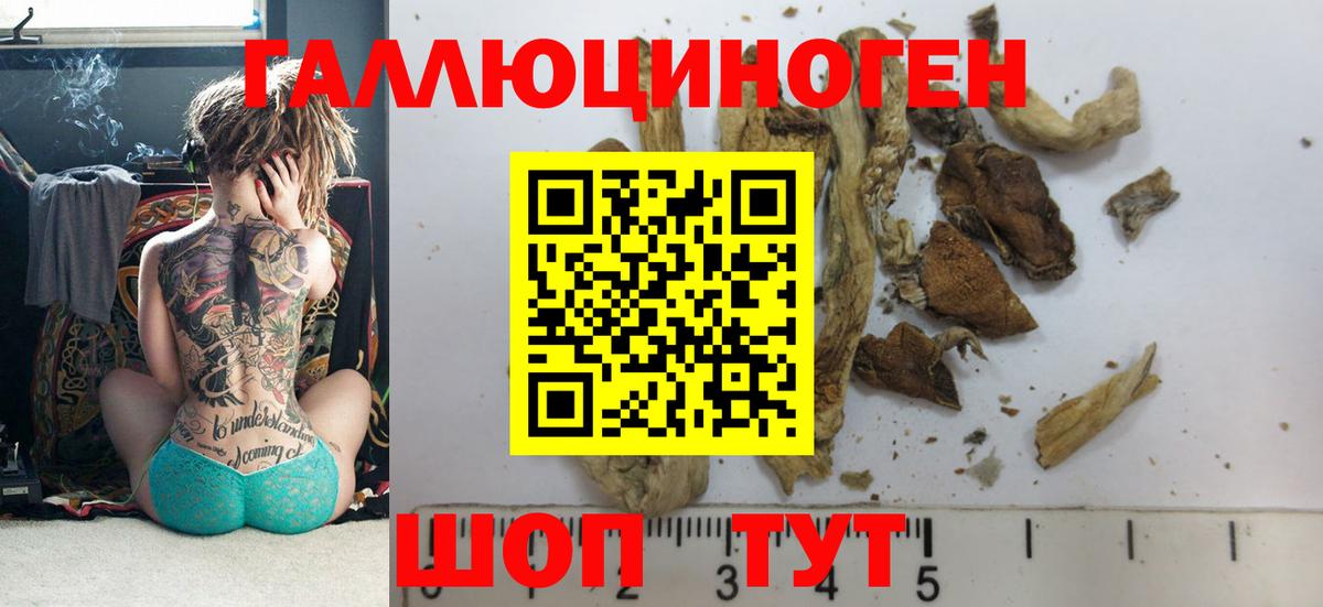 Псилоцибиновые грибы мухоморы  Вход с VPN  Псилоцибиновые грибы Psilocybe  купить  сайты  Ирбит 